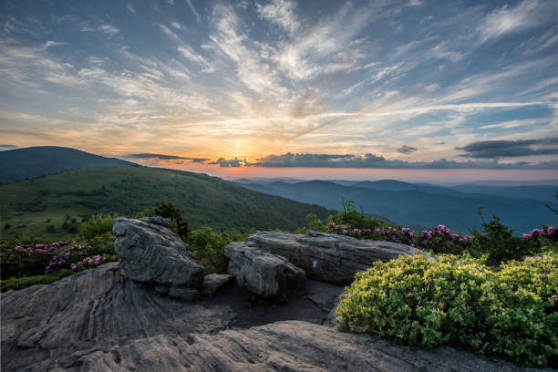 вечерний свет на джейн лысый - roan mountain state park стоковые фото и изображения