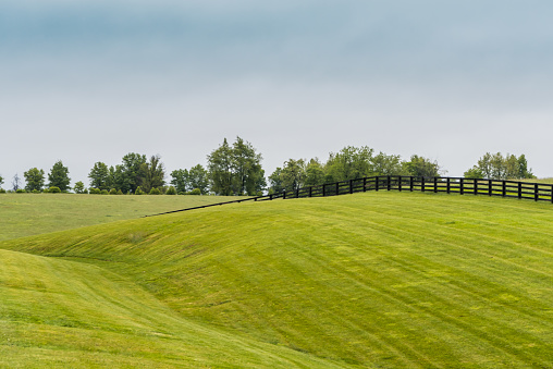 Horse Fence on Rolling Hills in Kentucky countryside
