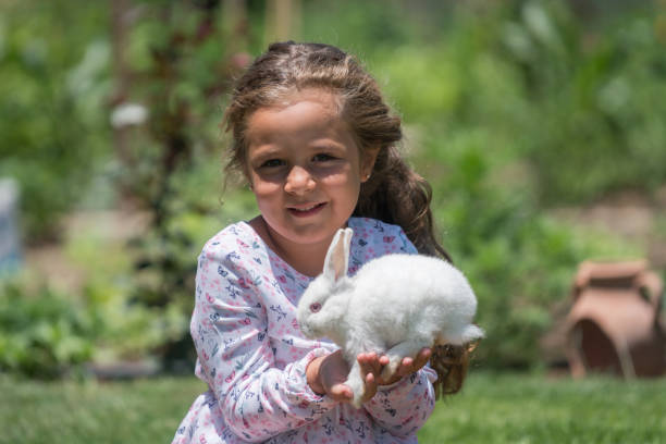 istock Little girl playing with bunny rabbit on hand 812795654
