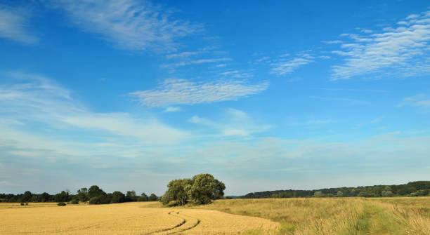 istock Rother Valley Landscapes 812804600