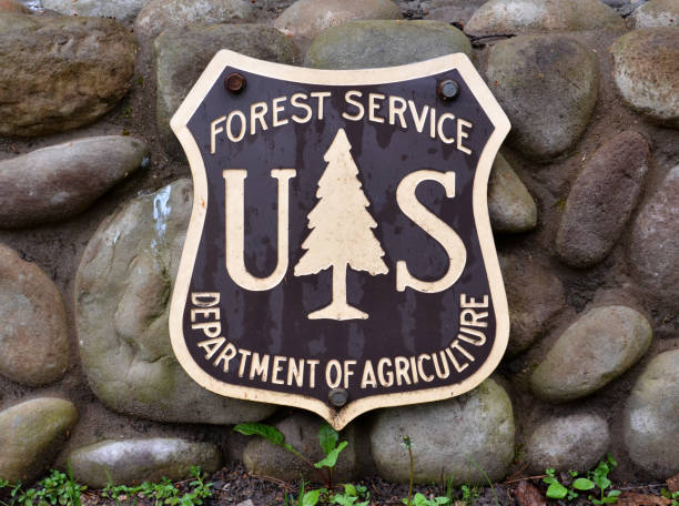 Forest Service sign stock photo
