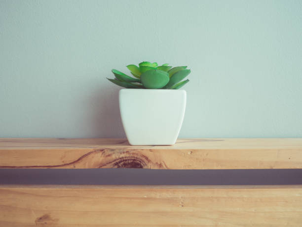 istock Plant pot decorated on wooden bed headboard. 812812424