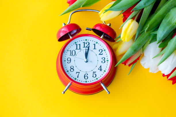 istock Multicolored tulips bouquet and retro alarm clock 812812522
