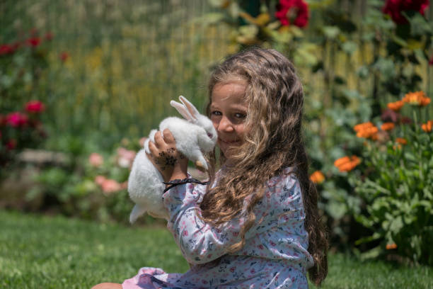istock Little girl playing with bunny rabbit on hand 812820634