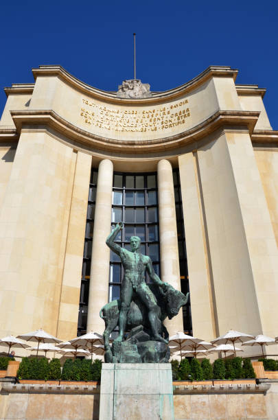 musée de l’homme à paris - palais de chaillot photos et images de collection