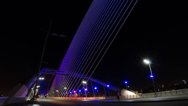 istock Seri Saujana Bridge 812831902