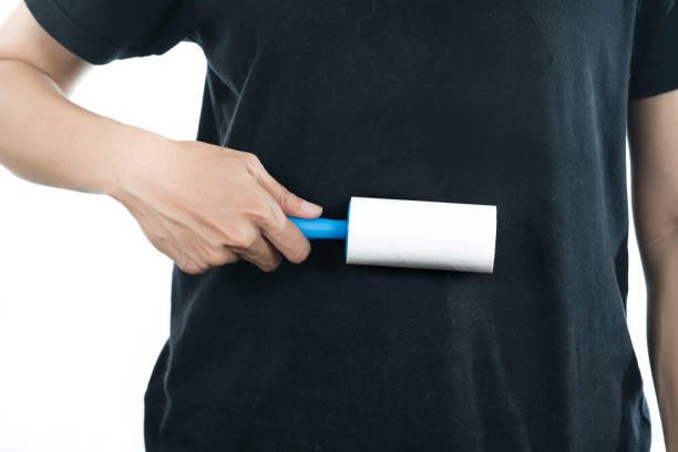 istock woman removing dog and cat hair from clothes using adhesive roller, 812839762