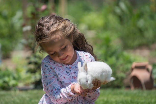 istock Little girl playing with bunny rabbit on hand 812842868