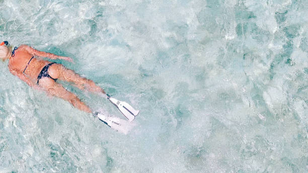 istock Walking and chilling through the joungle, Maldives 812845144