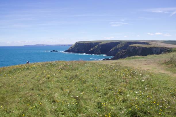 istock The clifftop at the North Cliffs in Cornwall, UK 812845514