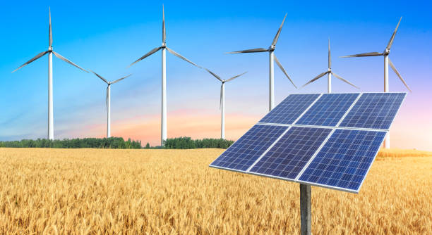 istock Ripe wheat field and wind power generation at sunset 812847650