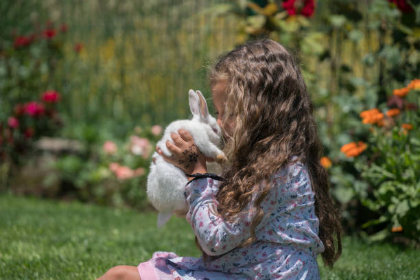 istock Little girl playing with bunny rabbit on hand 812847658