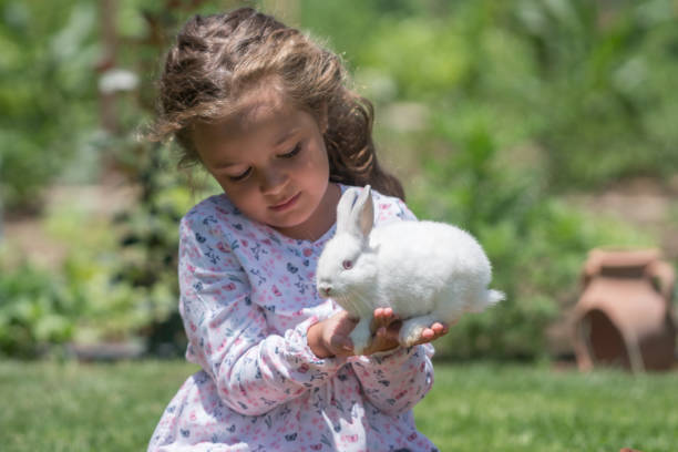 istock Little girl playing with bunny rabbit on hand 812847832
