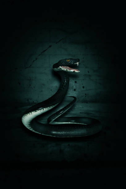istock 3d illustration of giant snake in the dark 812847862