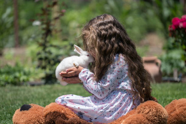 istock Little girl playing with bunny rabbit on hand 812852774