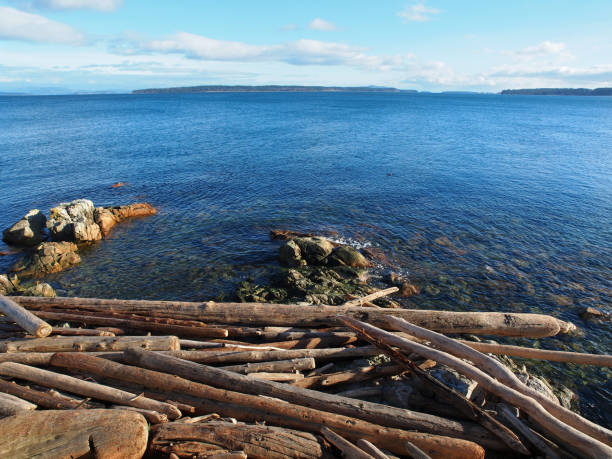 istock View from the rocky beach  on Vancouver Island, Canada 812855688