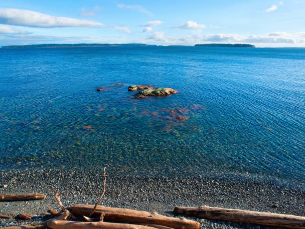 istock View from the rocky beach  on Vancouver Island, Canada 812855718