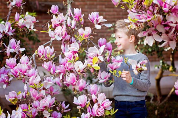 criança na primavera - sweet magnolia white large flower - fotografias e filmes do acervo