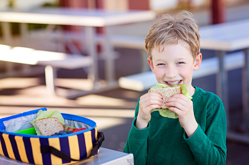 beautiful positive schoolboy enjoying healthy lunch during recess outdoor