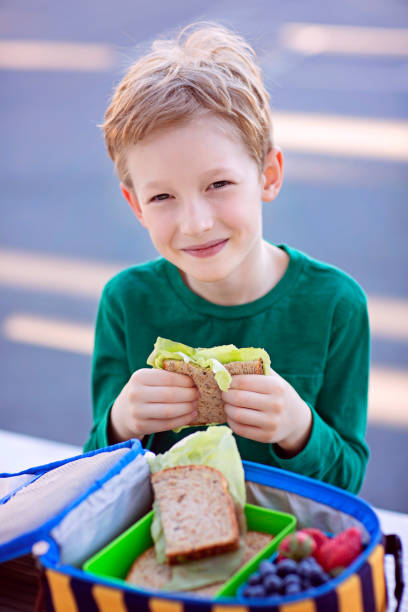 schoolkid eating lunch beautiful positive schoolboy enjoying healthy lunch during recess outdoor food elementary student healthy eating schoolboy stock pictures, royalty-free photos & images