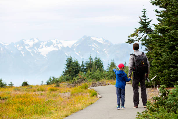 family enjoying olympic national park back view of family of two, father and son, enjoying mountain view in olympic national park, washington state, usa, active lifestyle concept olympic peninsula photos stock pictures, royalty-free photos & images