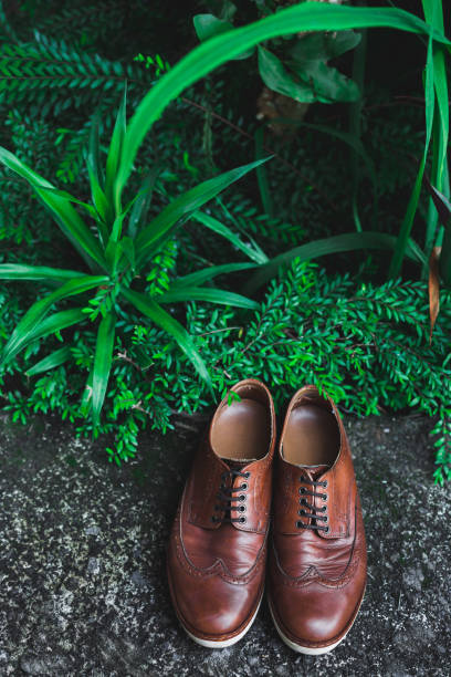 Brown leather shoes. View from above in garden