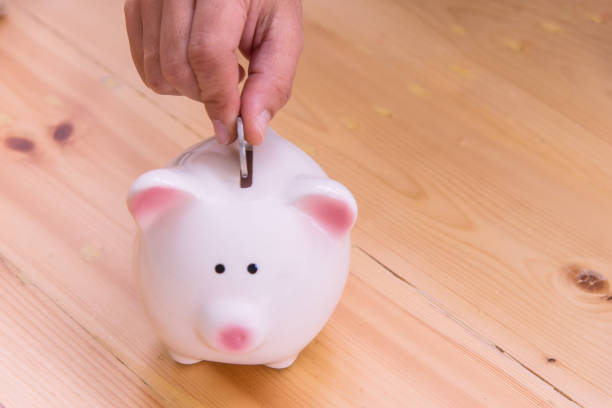 istock Piggy bank a container for saving money 812895642