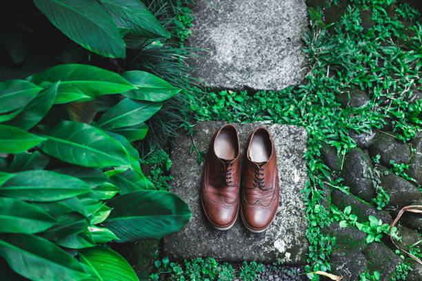 istock Brown leather shoes. View from above in garden 812896668