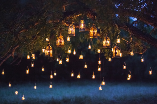 Ceremonia de boda de noche con un montón de lámparas vintage y velas en el árbol grande photo