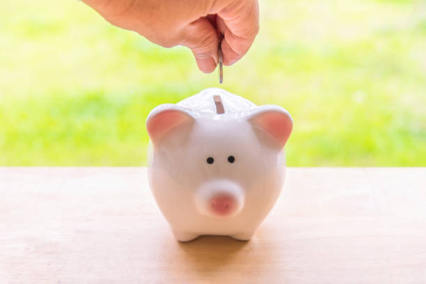 istock Piggy bank a container for saving money 812898774