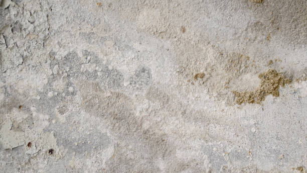 istock Old and deteriorate concrete wall. Grungy texture background. 812919824