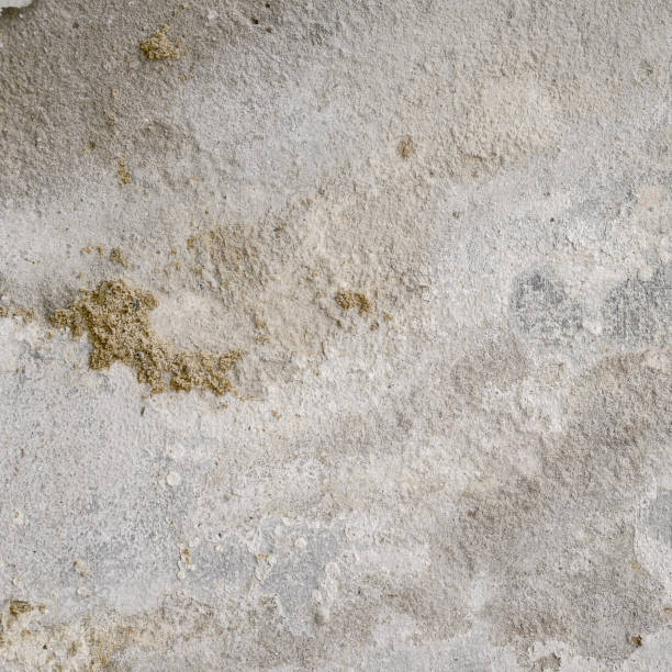 istock Old and deteriorate concrete wall. Grungy texture background. 812919982