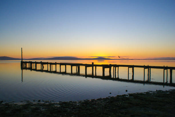 istock morning time in albany city 812933870