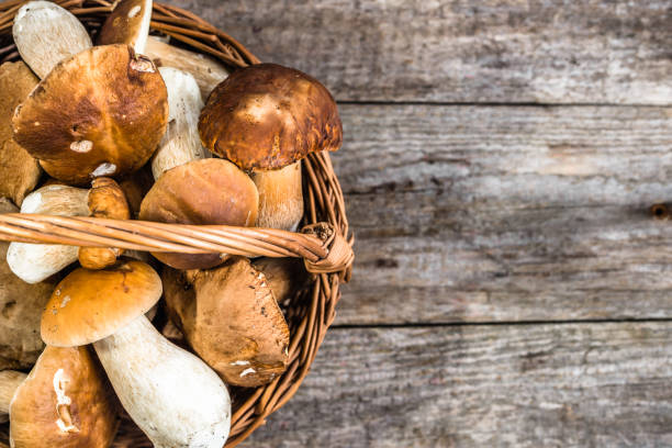 istock Fresh mushrooms in basket, boletus harvested in forest on rustic table, top view 812942386