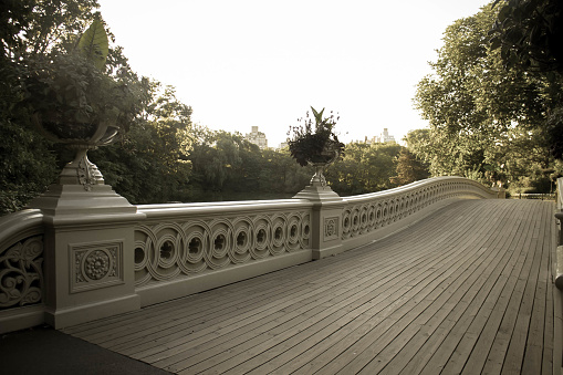 Bow bridge pathway and trees at Central Park in vintage style
