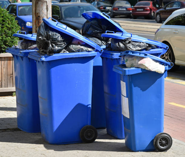 istock Wheeled garbage cans on the street 812951246