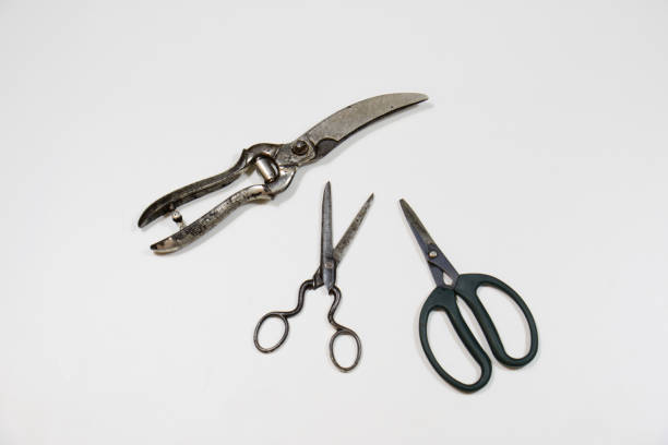 istock Old paper cutting scissors on a white background. 812951298