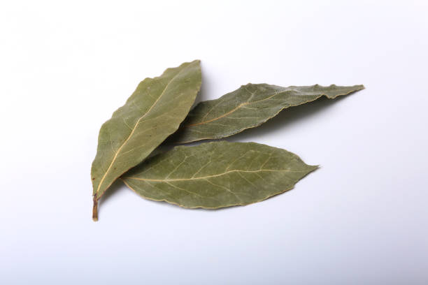 istock Aromatic dried bay leaves on white background. 812960634