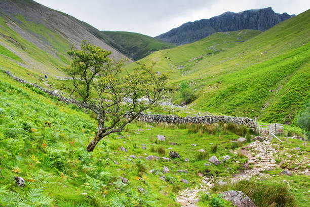 istock Lake District National Park, Northern England 812976962