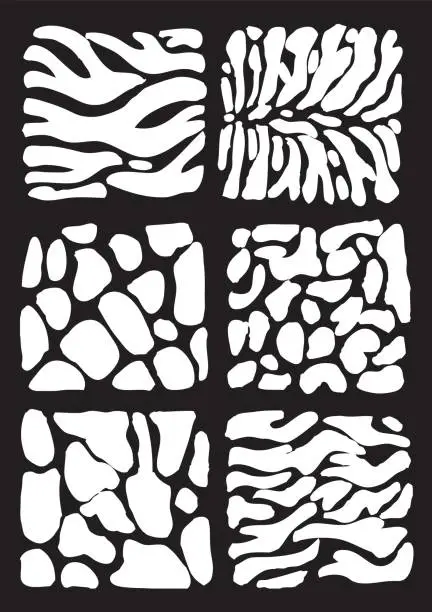 Vector illustration of Abtract Animal skins
