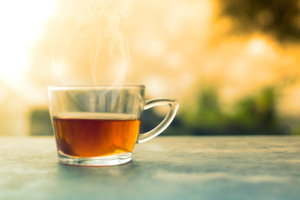Cup of tea outdoor in the misty morning
