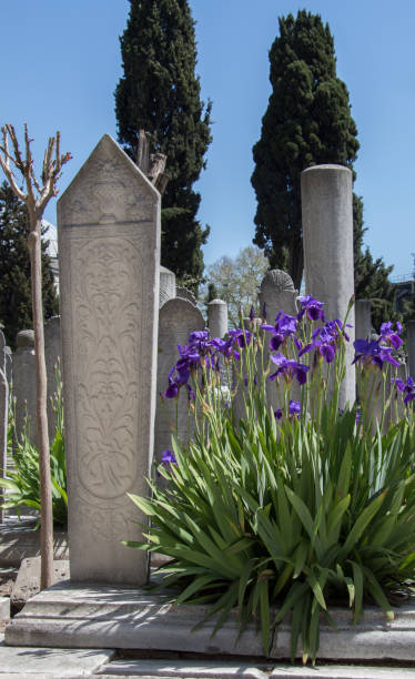 istock Old stones on the graves in Istanbul 812984144