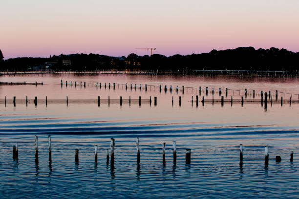 istock Oyster Farm Beds silhouetted at sunset 812990774