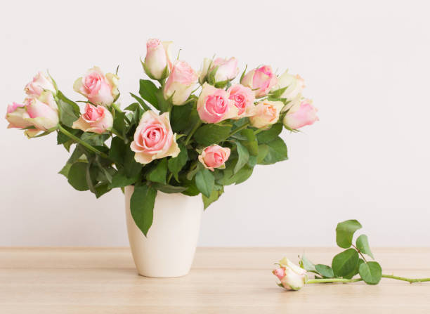 istock pink roses in vase on white background 813002218
