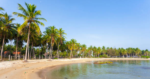 istock Palm Beach Ocean Sri Lanka 813004744