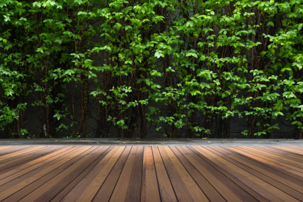 istock wooden floor green tree in background space for your text or object in photo. 813011490