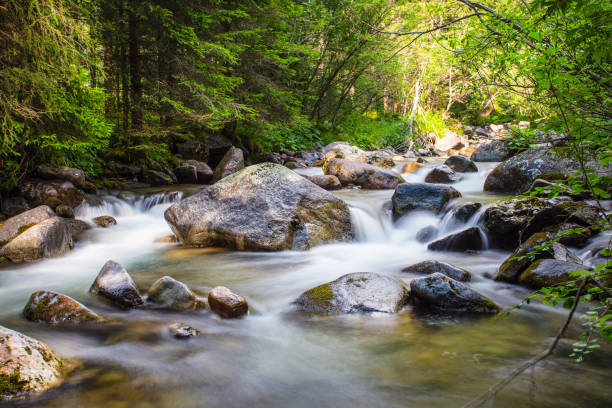 pequeña cascada en un río del bosque con agua sedoso alrededor de las rocas en la corriente. larga exposición - autumn water leaf stream fotografías e imágenes de stock