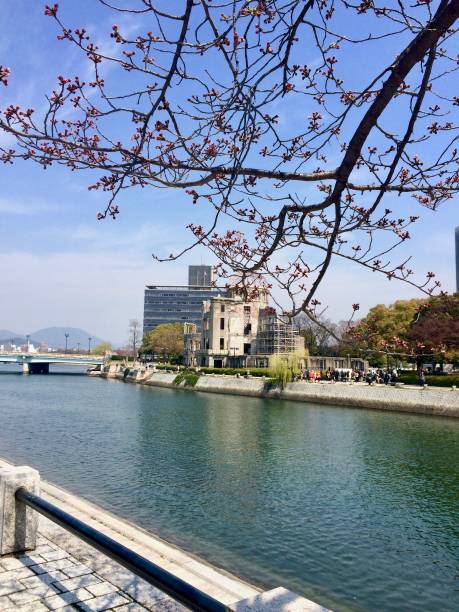 istock The Peace Monument in Hiroshima (atomic bomb dome) with Sakura flowers 813011960