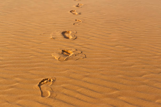 Human's footprints on the wavy sand in desert at daytime. Nobody. Nature landscape. Horizontal composition.
