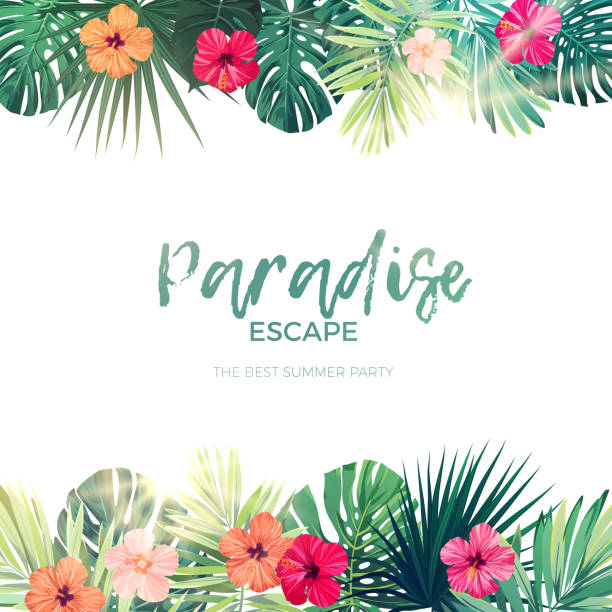 Green summer tropical background with exotic palm leaves and hibiscus flowers. Vector floral background Green summer tropical background with exotic palm leaves and hibiscus flowers. Floral background, vector illustration. caribbean stock illustrations